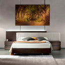 Cuadro Decorativo Paisaje, Camino de árboles