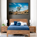 Cuadro Decorativo Paisaje, Cáctus