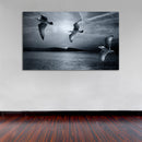 Cuadro Decorativo Gaviotas