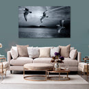 Cuadro Decorativo Gaviotas