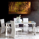 Cuadro Decorativo Paisaje, Camino de árboles