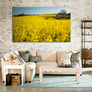 Cuadro Decorativo Paisaje, Campos amarillos