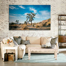 Cuadro Decorativo Paisaje, Cáctus