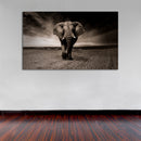 Cuadro Decorativo Elefante