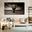 Cuadro Decorativo Elefante