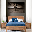 Cuadro Decorativo Elefante