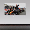 Cuadro Decorativo Adrenalina Max Verstappen