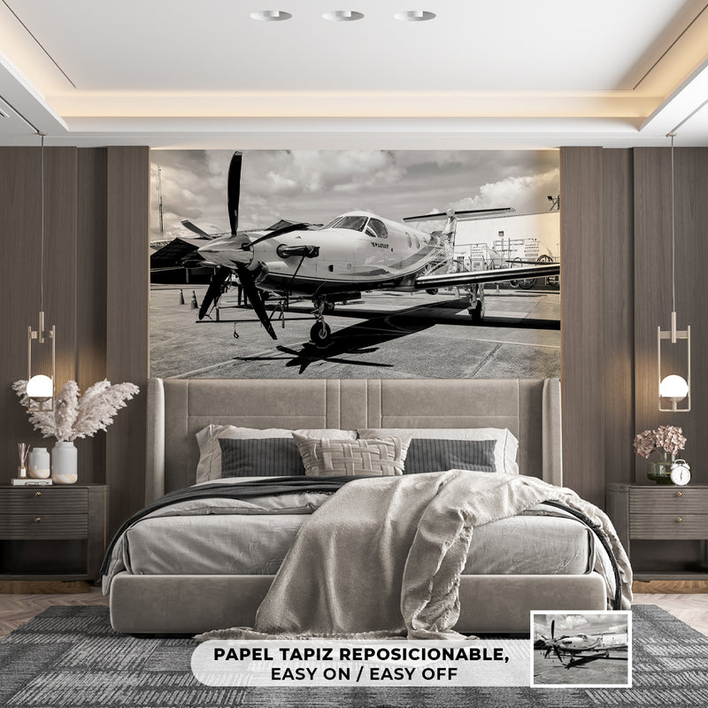 Decorativo, aeroplano Pilatus blanco y negro