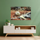 Cuadro Decorativo México Agave cortado