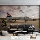 Cuadro Decorativo Air Force US