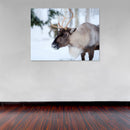 Cuadro Decorativo Invierno, alce en la nive