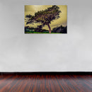 Cuadro Decorativo Bosques y Selvas, Árbol frondoso