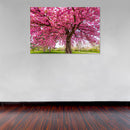 Cuadro Decorativo Primavera, Árbol con flores rosadas