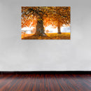 Cuadro Decorativo Otoño, árbol atardecer