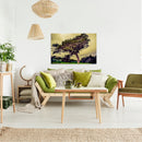 Cuadro Decorativo Bosques y Selvas, Árbol frondoso