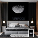 Cuadro Decorativo Espacial, asteroide 1