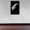 Cuadro Decorativo Espacial, asteroide 2