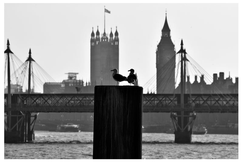 Cuadro Decorativo Blanco y negro, aves sobre el puente