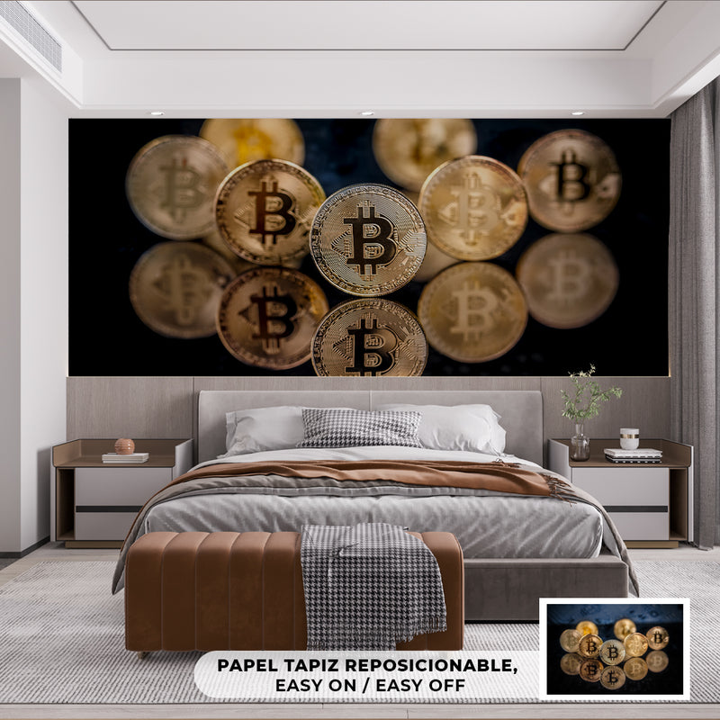 Cuadro Decorativo Dinero, Bitcoins con reflejo