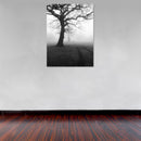 Cuadro Decorativo Blanco y negro, bosque en niebla