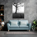 Cuadro Decorativo Blanco y negro, bosque en niebla