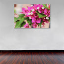 Cuadro Decorativo Flora, Bugambilia con flor