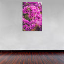 Cuadro Decorativo Floral, Bugambilia morada