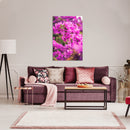 Cuadro Decorativo Floral, Bugambilia morada