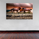 Cuadro Decorativo Animales Caballos