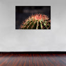 Cuadro Decorativo México Cactus