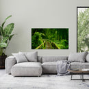 Cuadro Decorativo, Sendero de la jungla