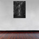 Cuadro Decorativo Blanco y negro, camino de árboles