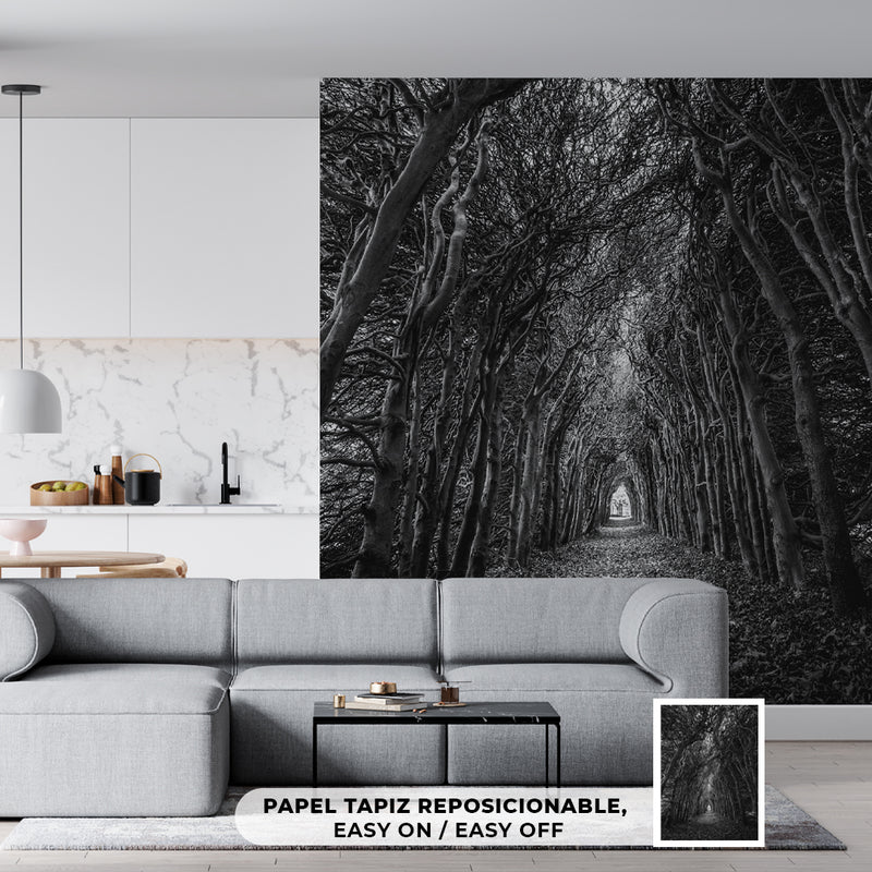 Decorativo blanco y negro, camino de árboles
