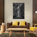 Cuadro Decorativo Blanco y negro, camino de árboles