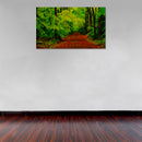 Cuadro Decorativo, Camino rojo por el bosque