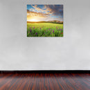 Cuadro Decorativo Primavera, Campo primaveral