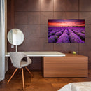 Cuadro Decorativo Primavera, Campos de lavanda