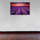 Cuadro Decorativo Primavera, Campos de lavanda