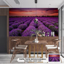 Decorativo Primavera, Camino de lavandas