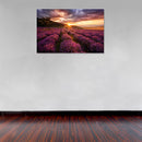Cuadro Decorativo Primavera, Campos de lavanda, sunset