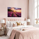 Cuadro Decorativo Primavera, Campos de lavanda, sunset