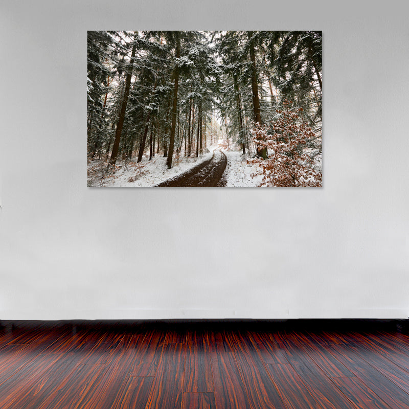 Cuadro Decorativo Invierno, camino entre pinos horizontal