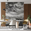 Cuadro Decorativo Blanco y negro, paisaje carretera