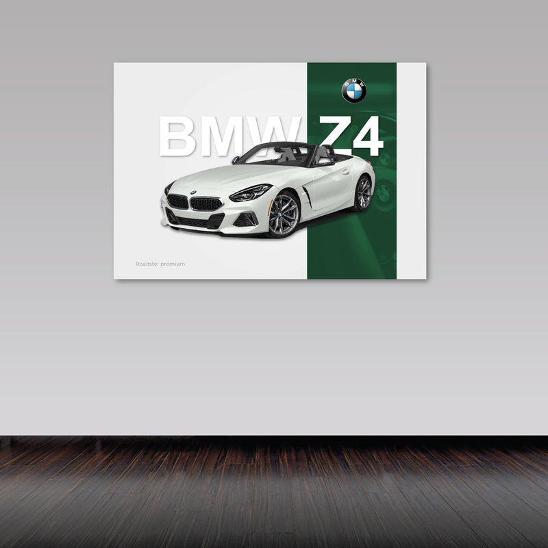 Cuadro Decorativo Contraste BMW Z4 blanco
