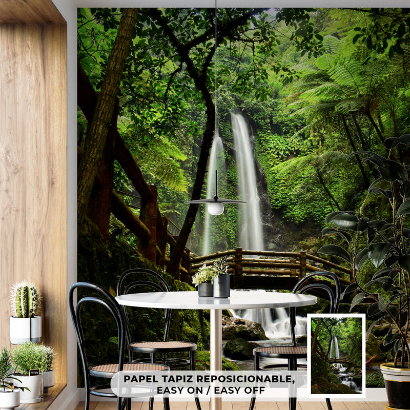 Cuadro Decorativo Bosques y Selvas, Cascada del puente