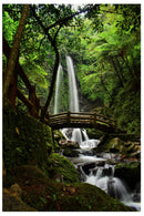 Cuadro Decorativo Bosques y Selvas, Cascada del puente