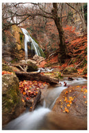 Cuadro Decorativo Otoño, cascadita en el bosque