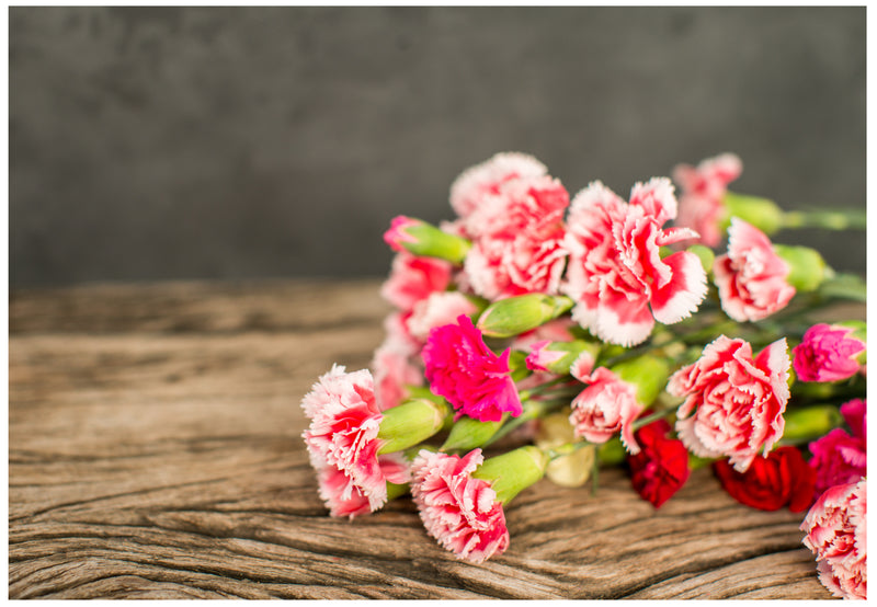Cuadro Decorativo Floral, Claveles rosas sobre mesa