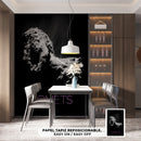 Cuadro Decorativo Espacial, cometa