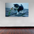 Cuadro Decorativo Pequeño gato